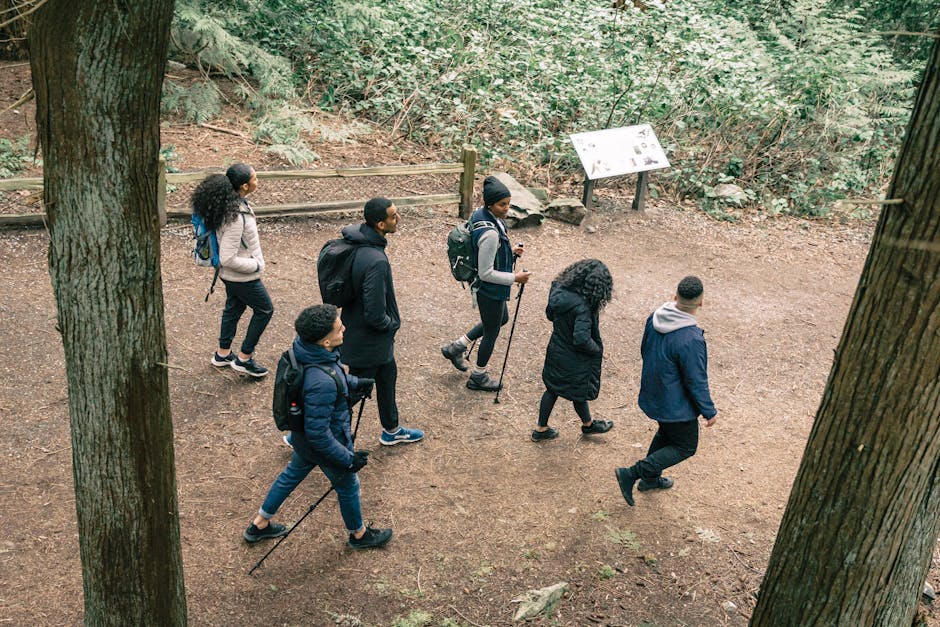 Gruppo di persone che fa trekking in una foresta italiana